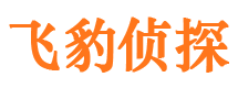 江都侦探公司